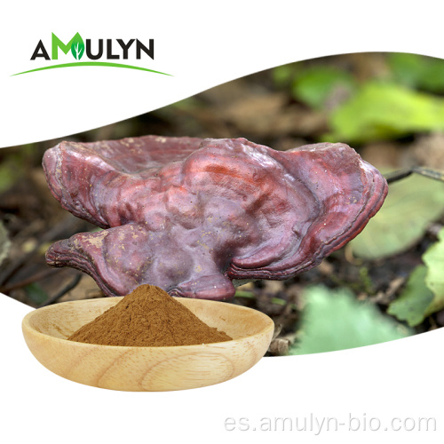 Polvo de hongo reishi de extracto de Lingzhi Ganoderma Lucidum